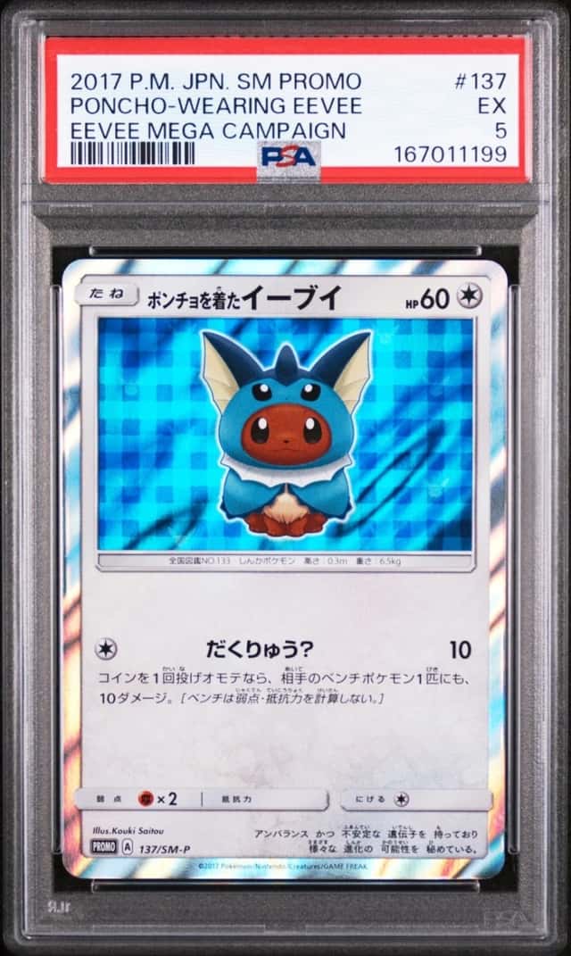 Poncho-wearing Eevee