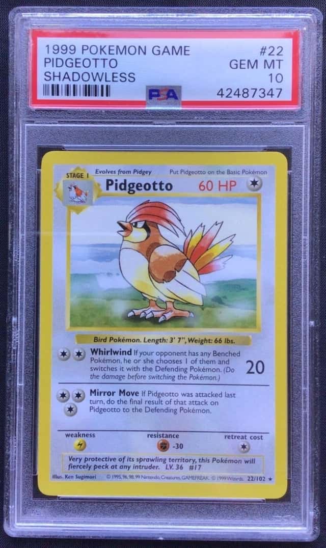 Pidgeotto