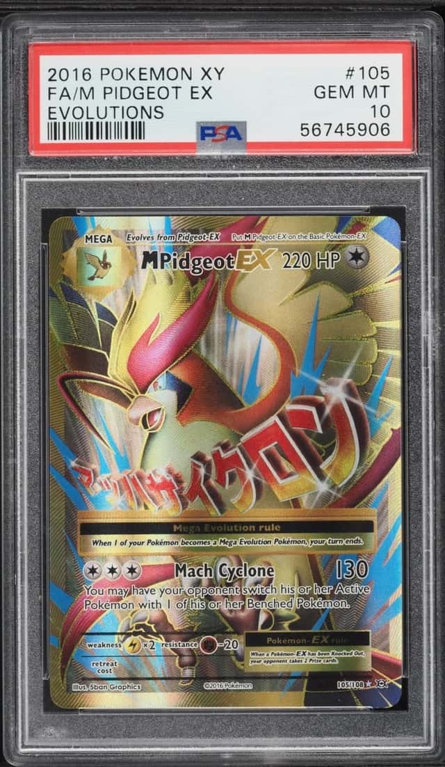 M Pidgeot EX