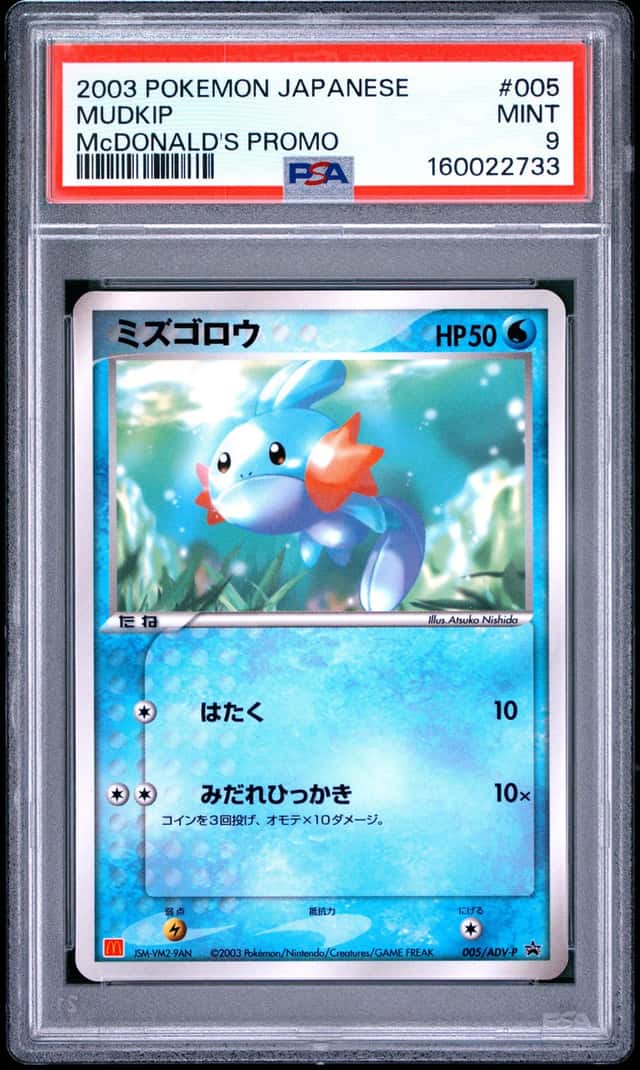 Mudkip