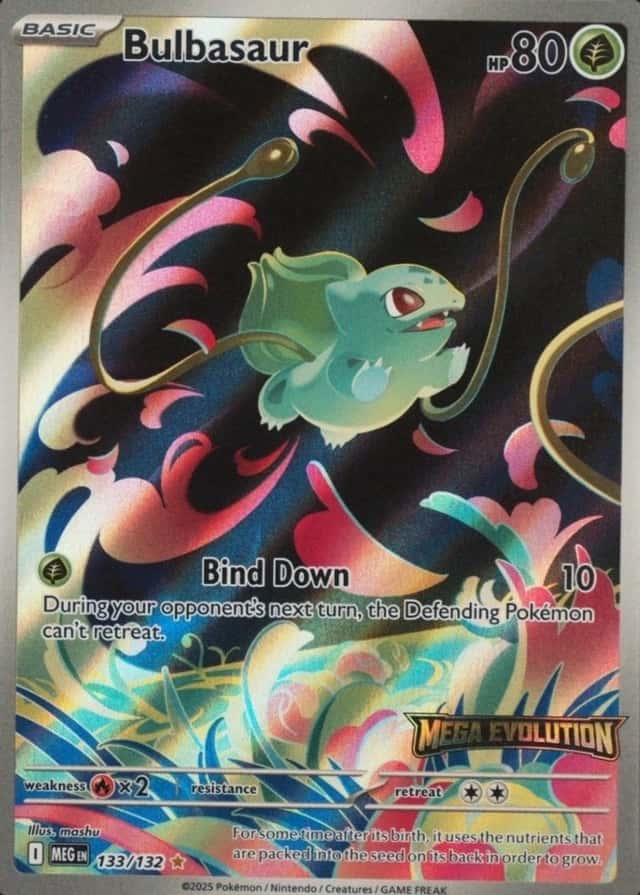 Box Topper