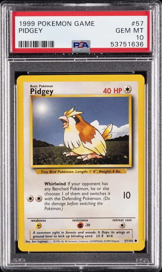 Pidgey