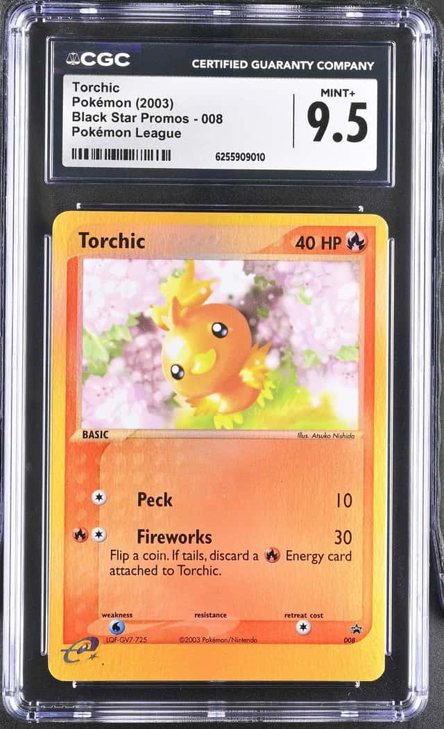 Torchic
