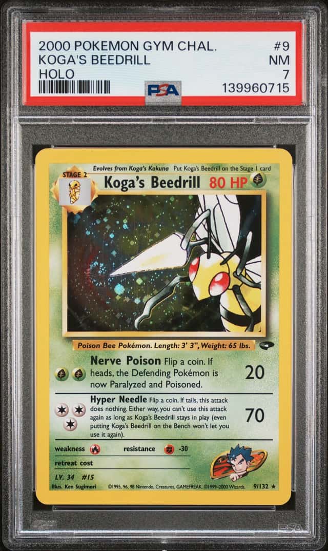 Koga's Beedrill