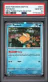 Psyduck