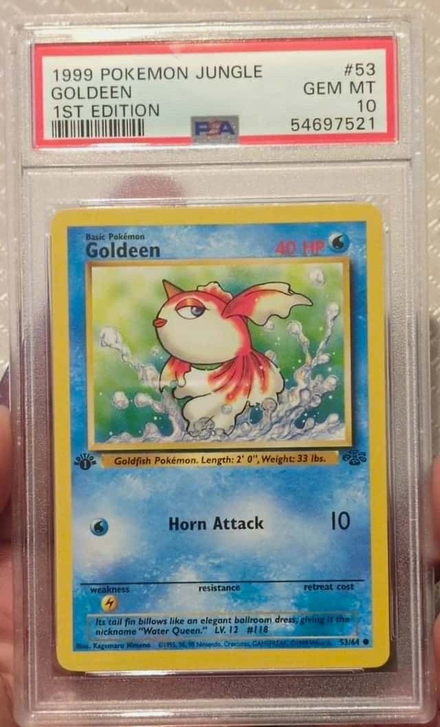 Goldeen