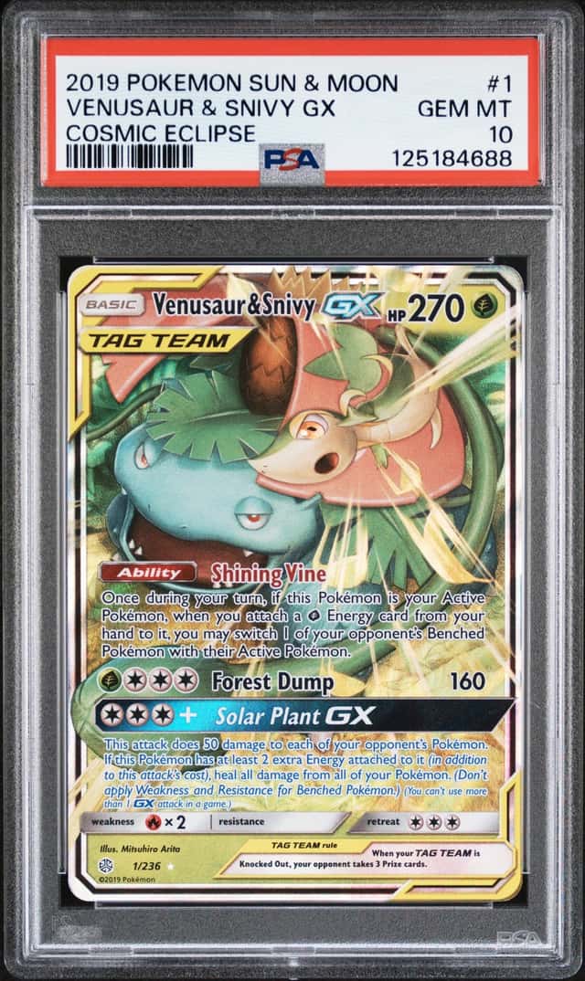 Venusaur & Snivy GX