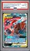 Greninja & Zoroark Gx