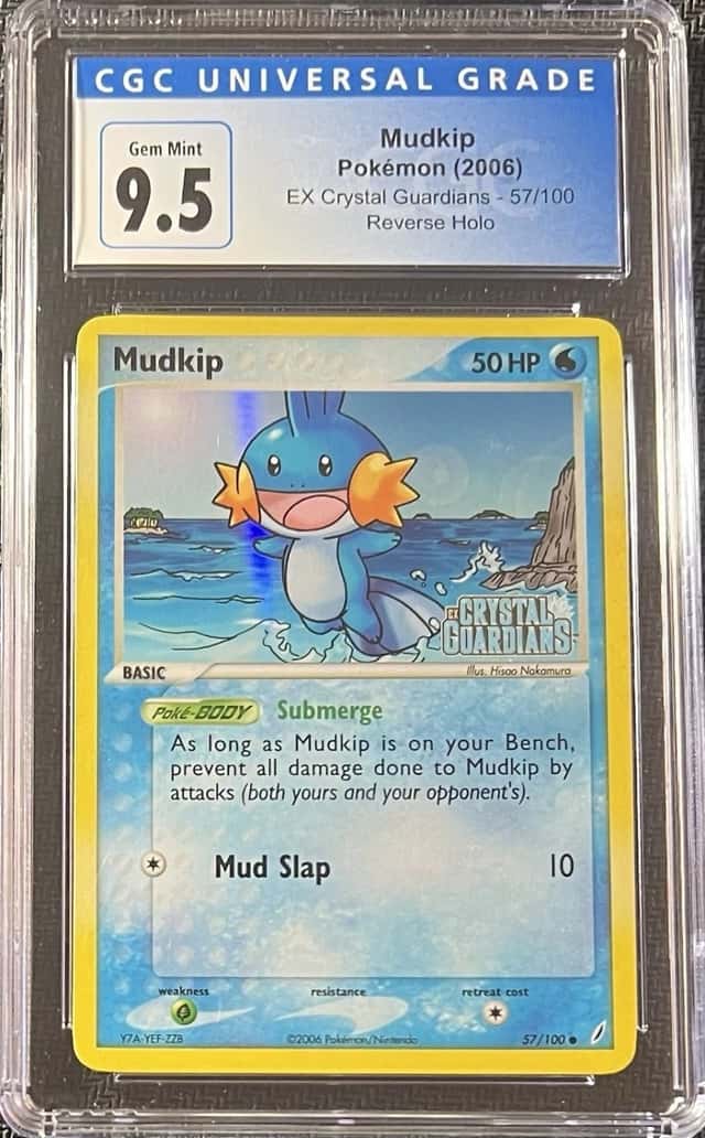 Mudkip