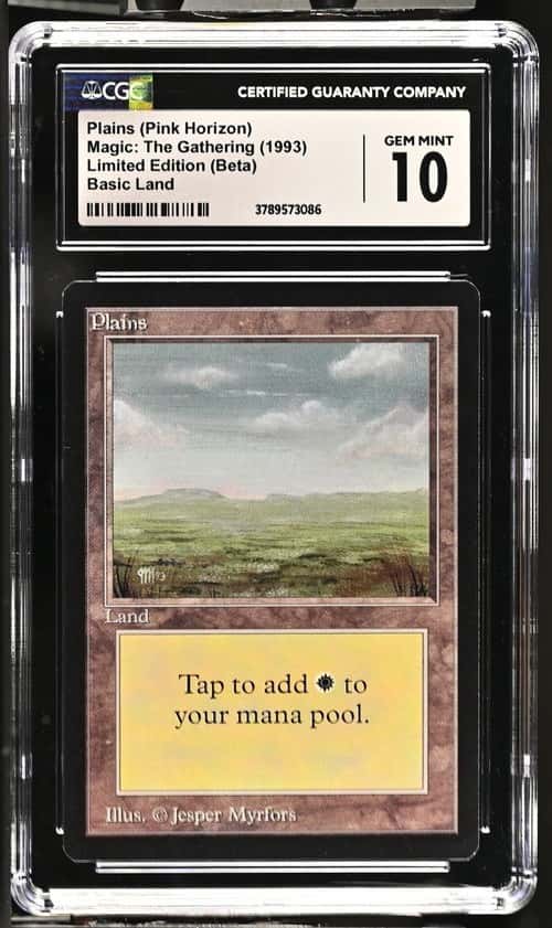 Plains