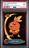 Torchic
