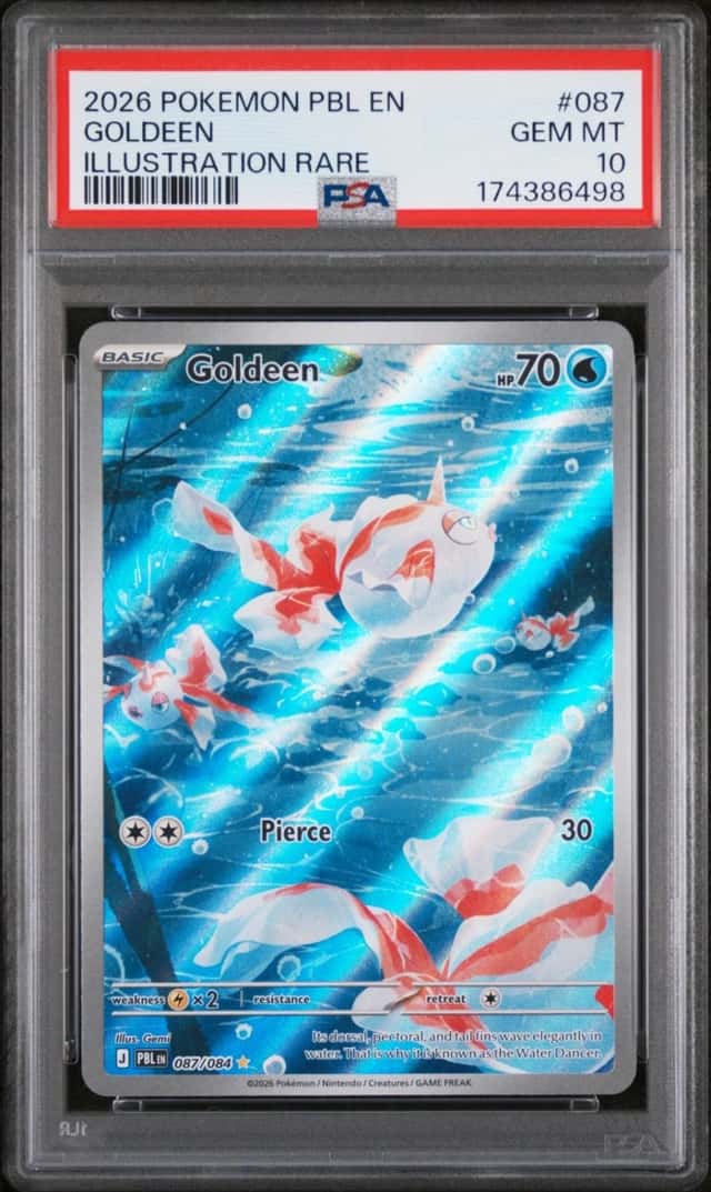 Goldeen