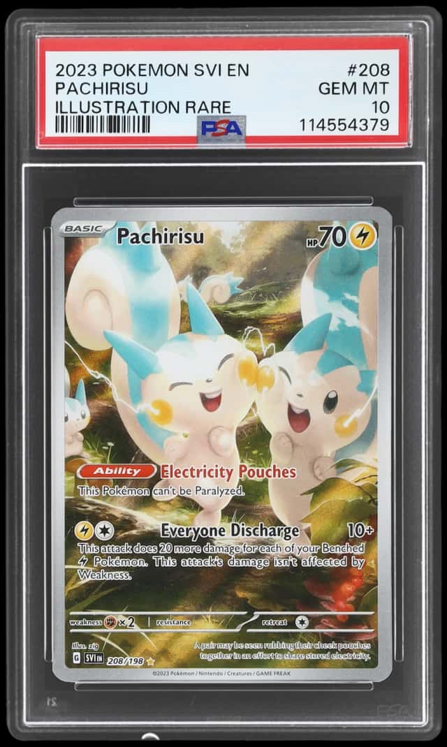 Pachirisu