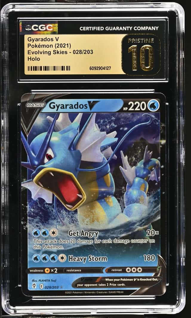Gyarados V