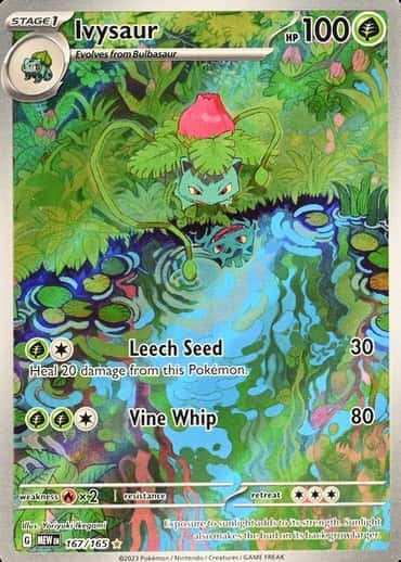 Base / no variant