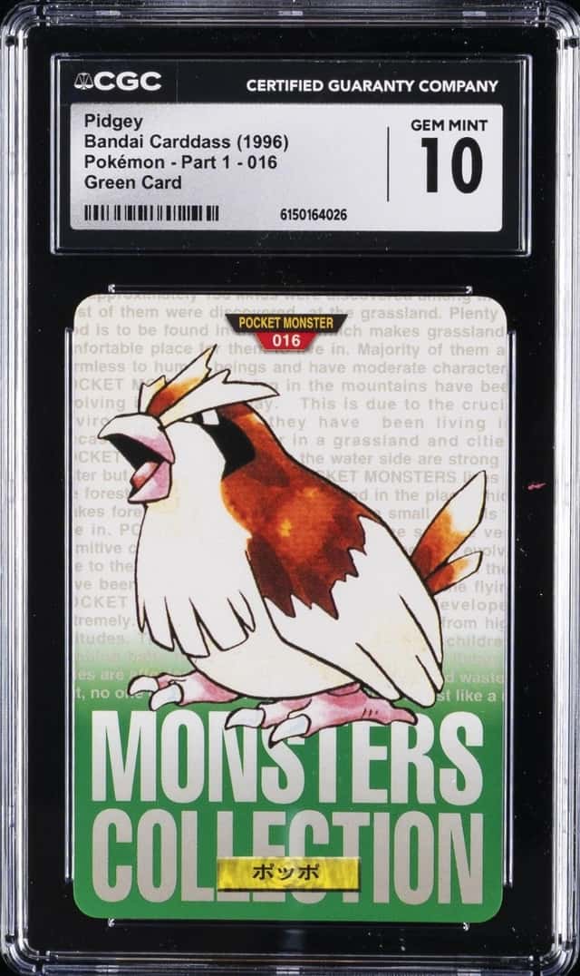 Pidgey