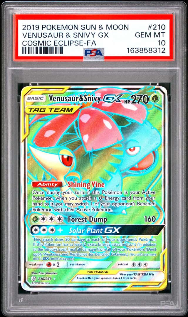 Venusaur & Snivy GX