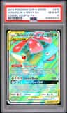 Venusaur & Snivy Gx