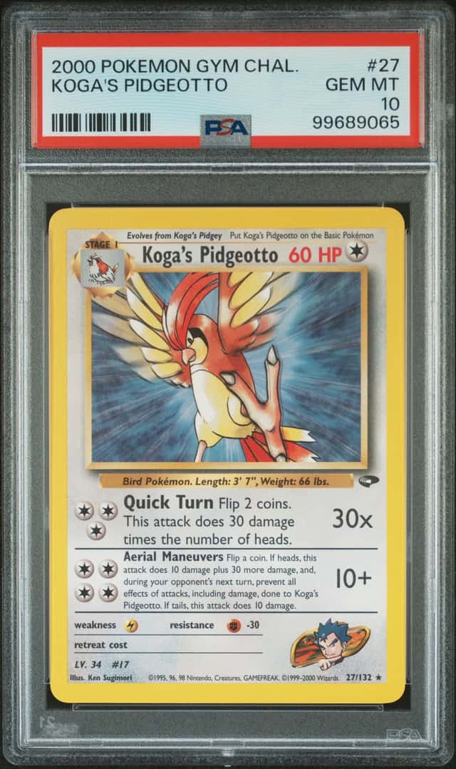 Koga's Pidgeotto
