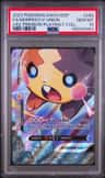Morpeko V-Union
