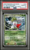 Icy Sky'S Shaymin