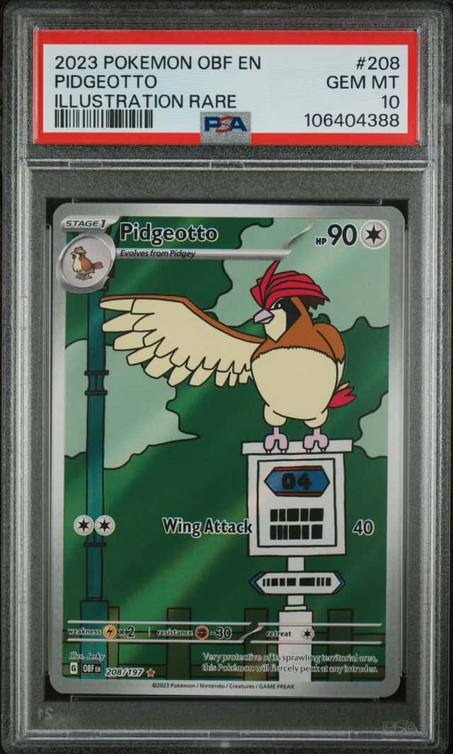 Pidgeotto