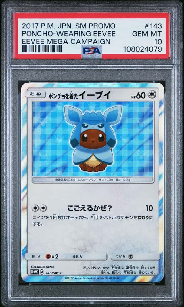 Poncho-Wearing Eevee