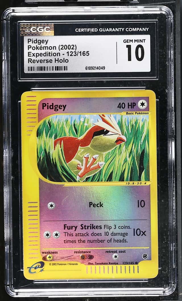 Pidgey