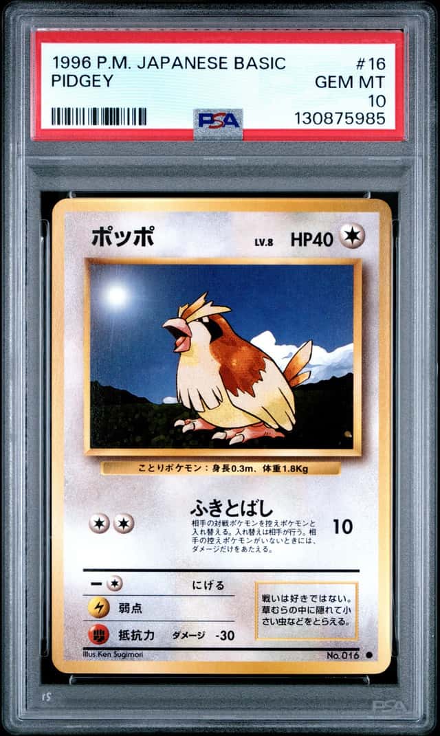 Pidgey