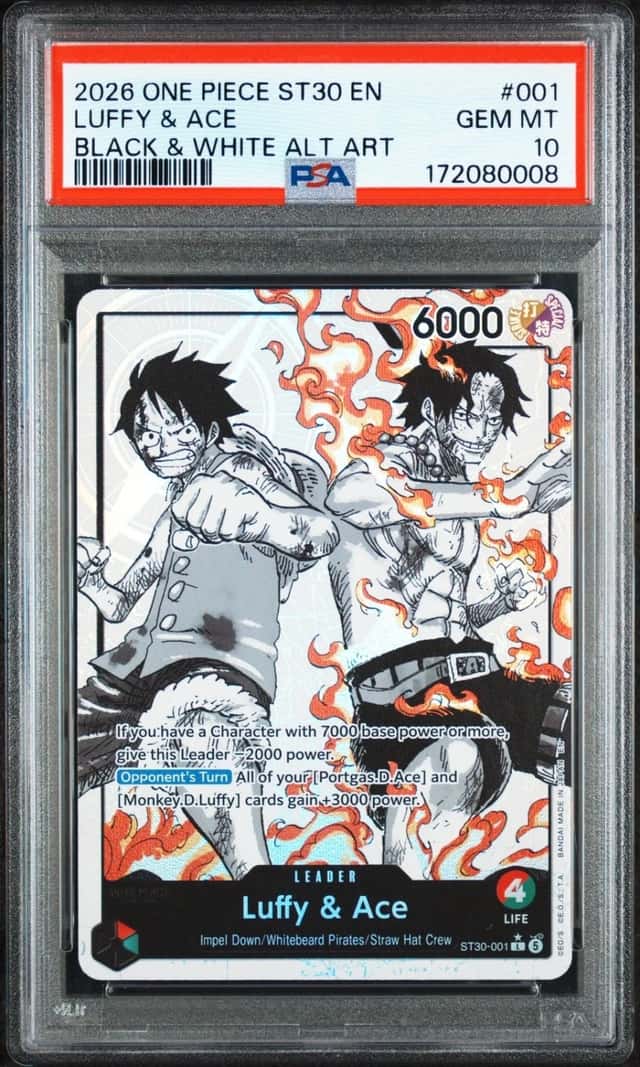 Luffy & Ace