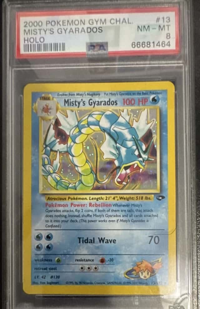 Misty's Gyarados