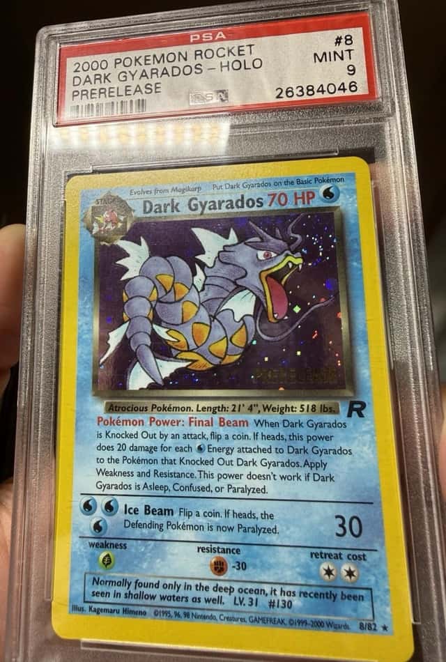 Dark Gyarados