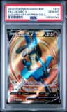 Lucario V