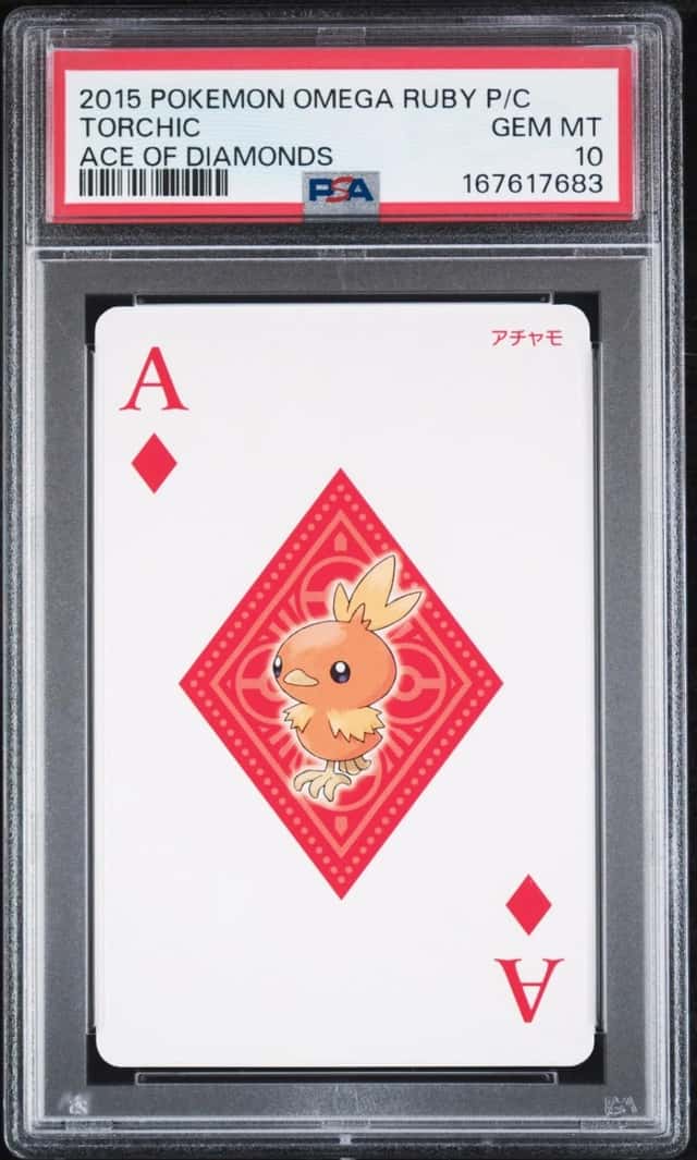 Torchic