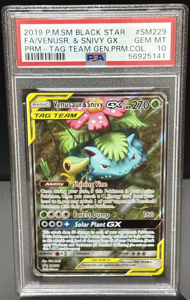 Venusaur & Snivy GX