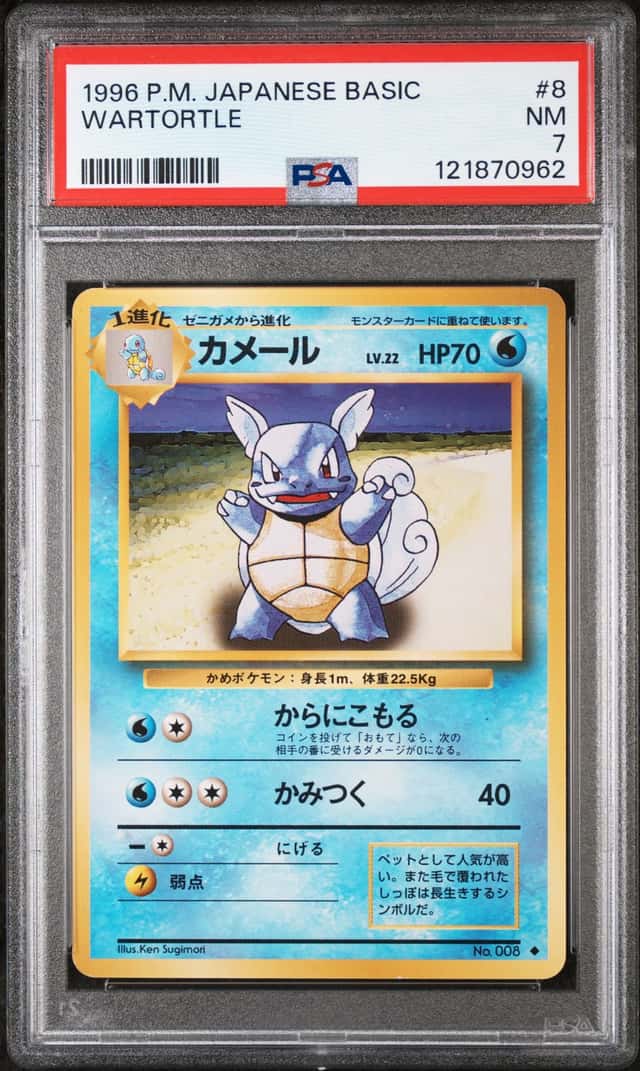 Wartortle