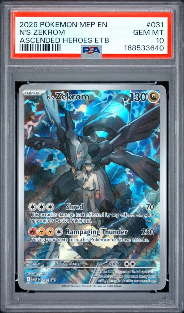 N's Zekrom