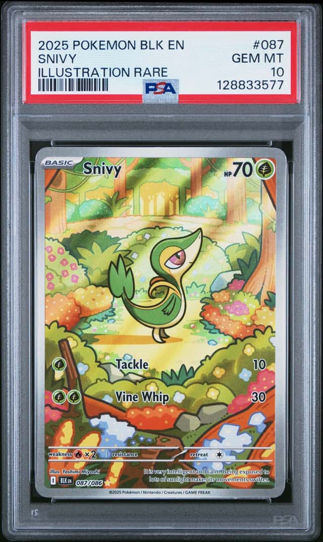 Snivy
