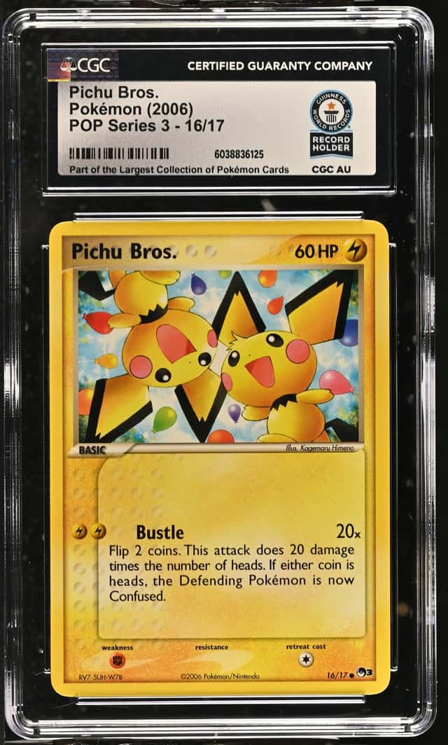 Pichu Bros