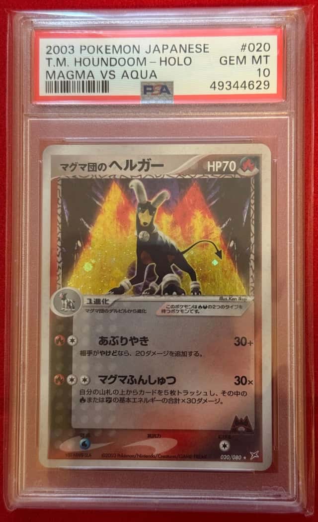 Magma's Houndoom