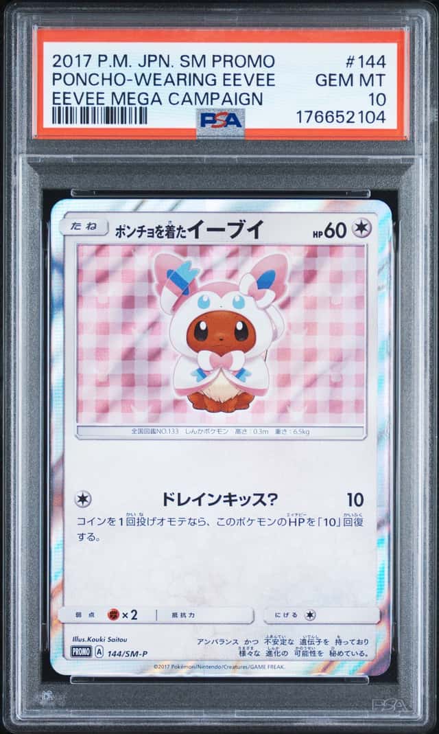 Poncho-Wearing Eevee