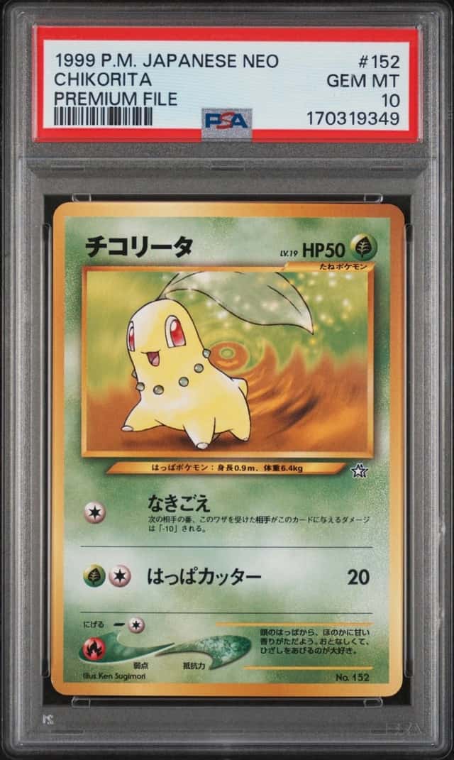 Chikorita