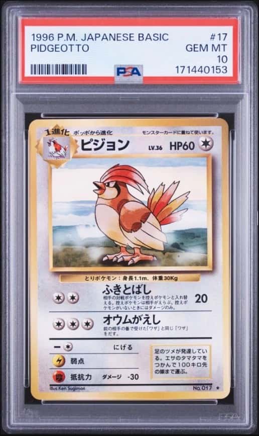 Pidgeotto