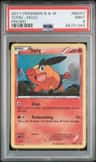 Tepig
