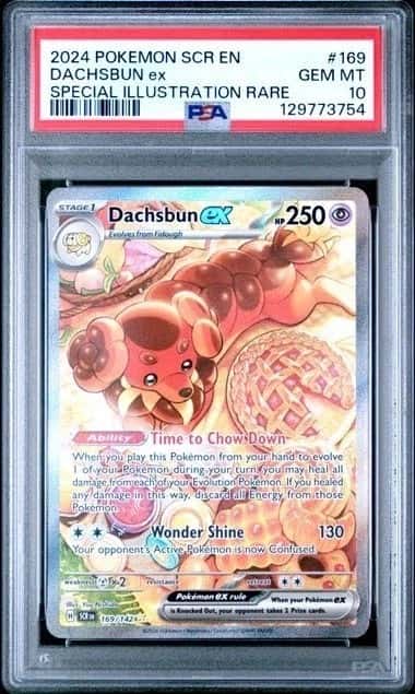 DACHSBUN ex