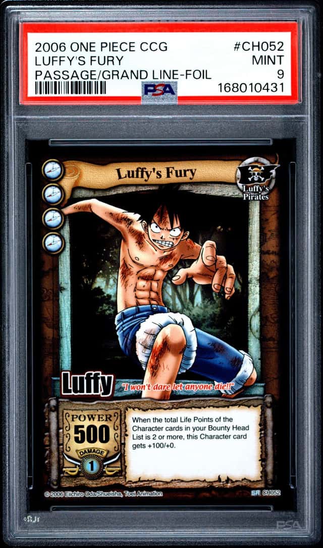 Luffy's Fury