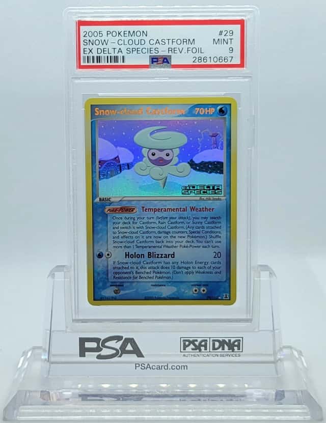Snow-cloud Castform