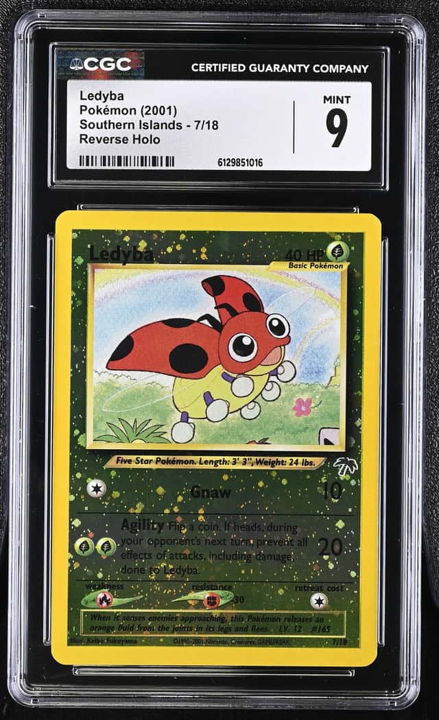 Ledyba