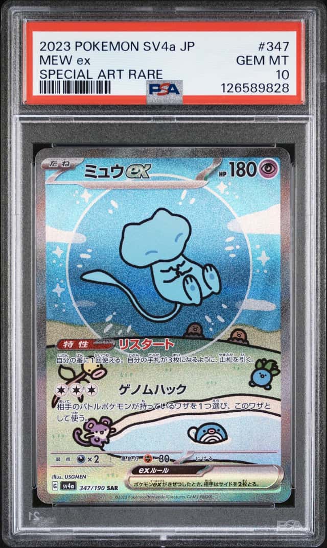 MEW ex