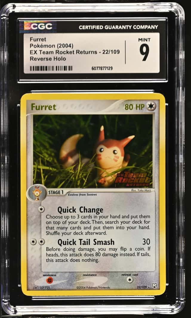 Furret